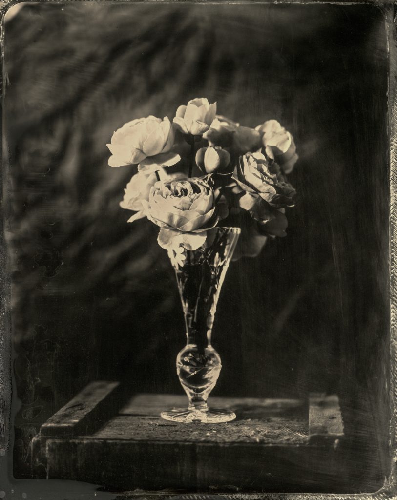 Roses arranged in a vase in a wetplate still life